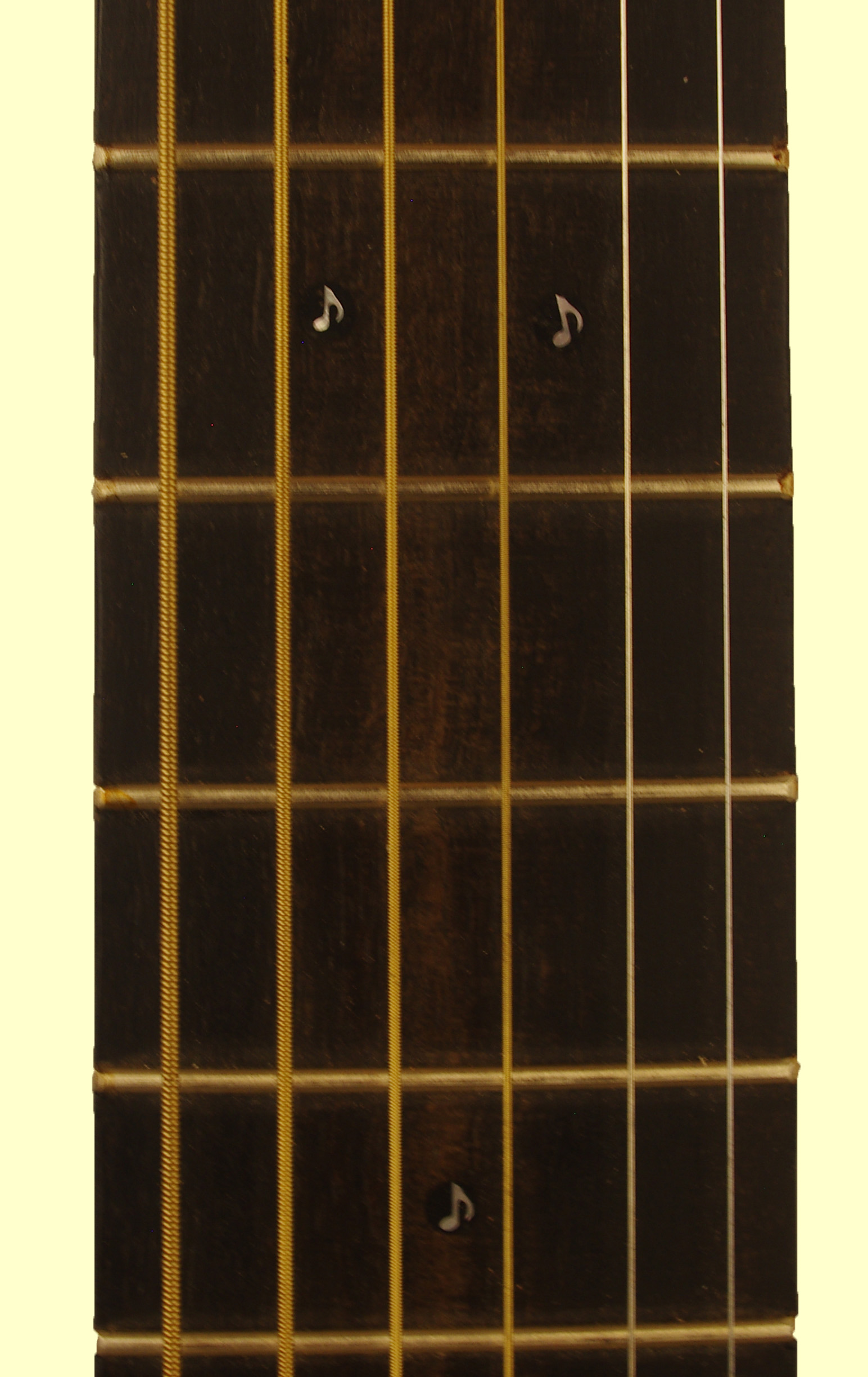 thompson18 neck